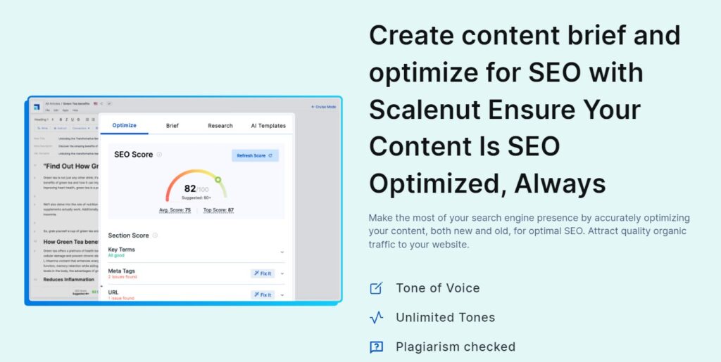 Scalenut Review: 10